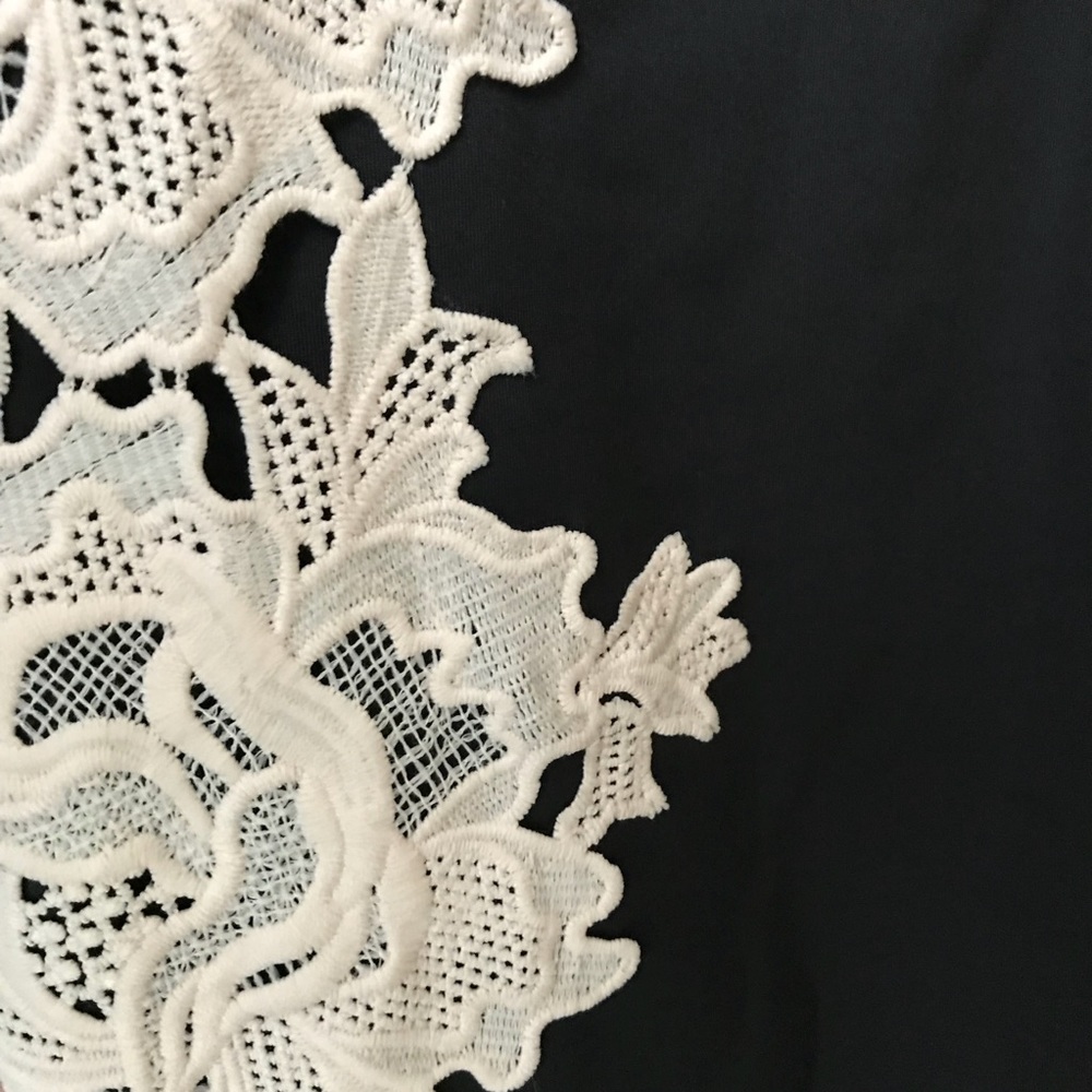 [Jax] Lace Panel Little Black Dress - Picture 7 of 7